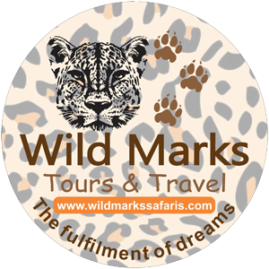 Wild Marks Safaris